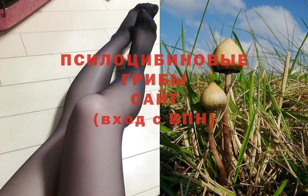apvp Заволжье