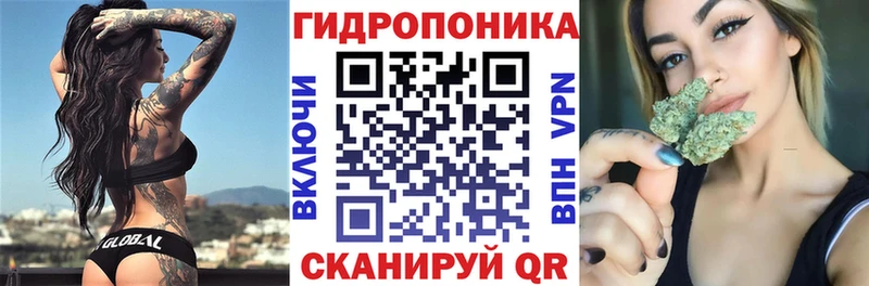 Купить  Ахтырский  Бошки Шишки гибрид 